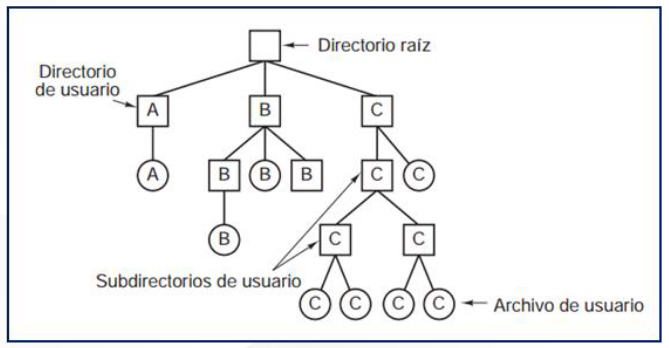 Jerárquía de directorios